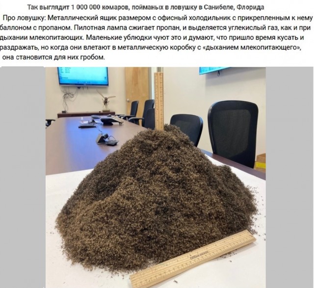 Картинки с надписями и всякие жизненные фразы