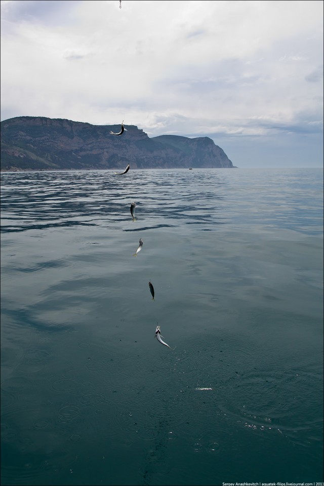 Чёрное море