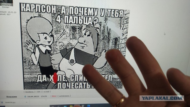 Так себе картинки 10.04.22