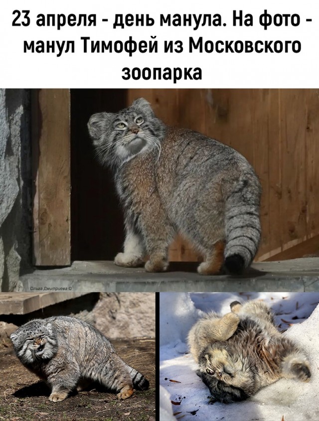 Так себе картинки 24.04.22