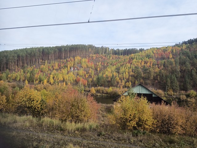 Поделимся красивыми фото с телефона?