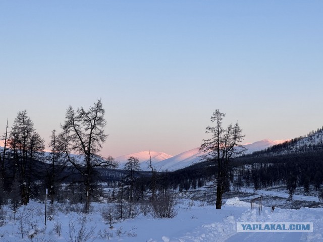 Поделимся красивыми фото с телефона?