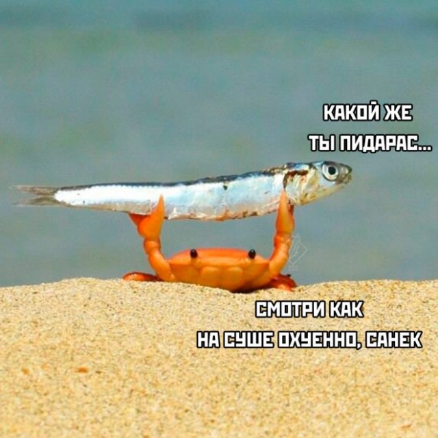 Всякая всячина
