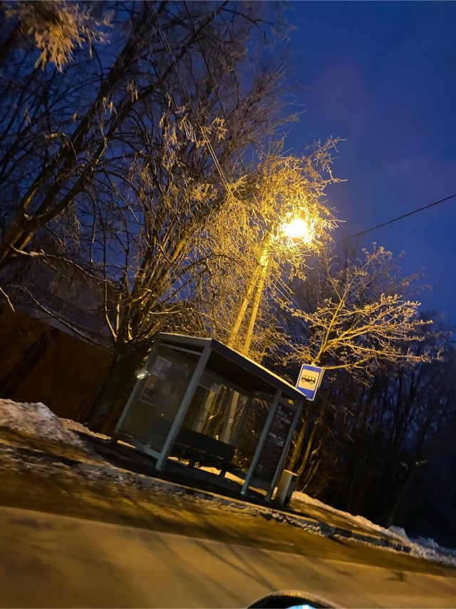Ночью был сильный туман, его последствия утром