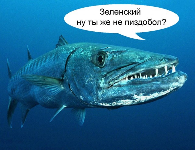 Крымчане про контрнаступление