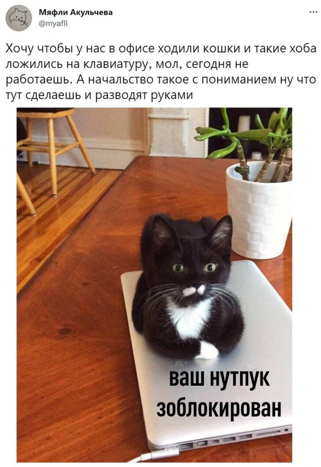 Подборка картинок 03.05.2023