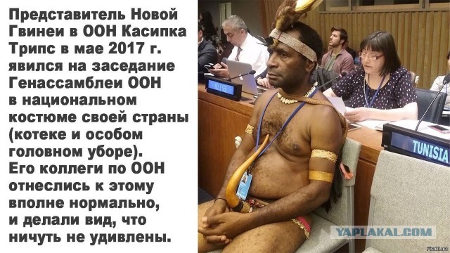 Что в головах у таких родителей (опять педофилы)