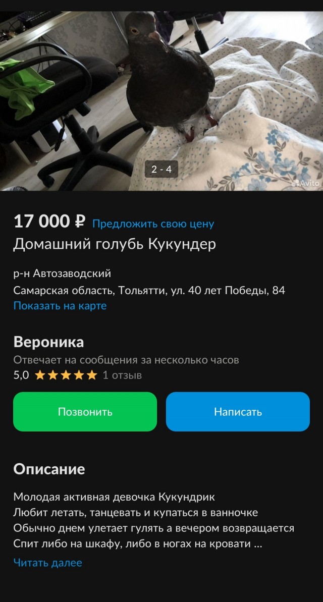 Когда скучно в больнице