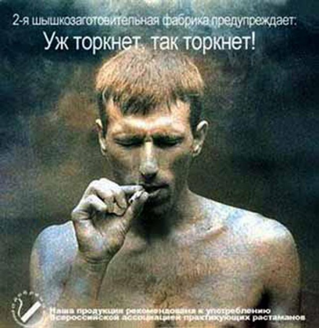 Прикольные и просто красивые картинки 14.07.2023