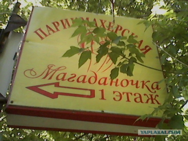 16 юморных вывесок на грани фола, мимо которых точно нельзя пройти, не посмеявшись
