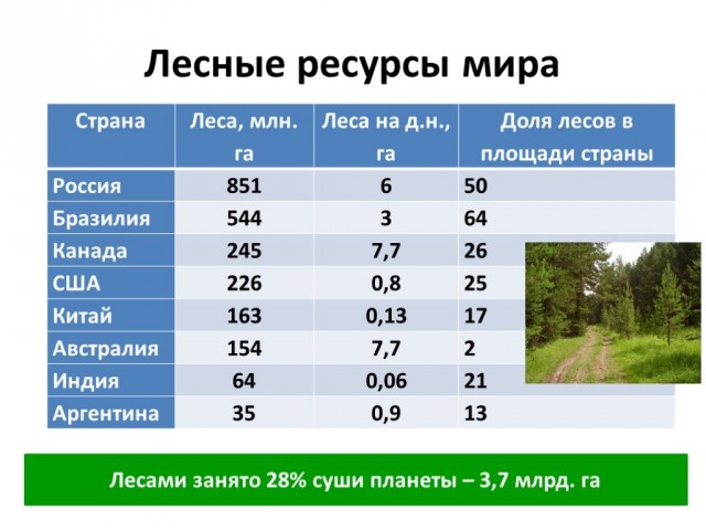 Крупнейший завод по производству фанеры в Индии