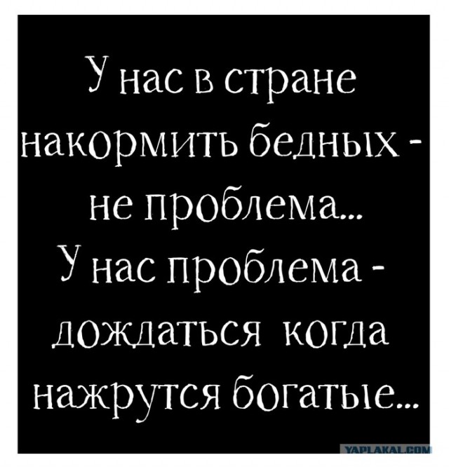 Забавные комментарии из социальных сетей (20.11.23)