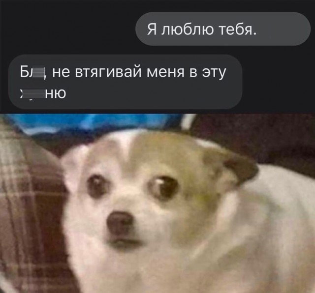 Весёлый полтишок 05.01.24