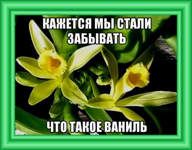 Мой мужик