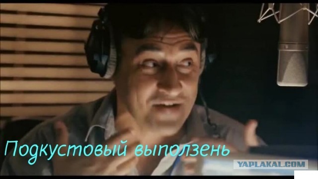 Ну подходи, не бойся!