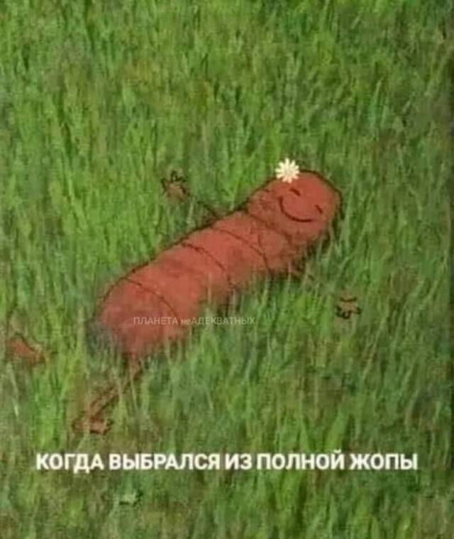 Всего понемногу. От 04.03.24