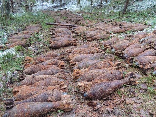 Страшное эхо войны в карельском лесу
