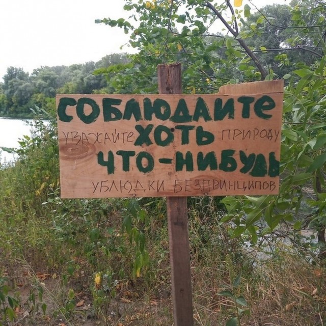 Немного забавных картинок