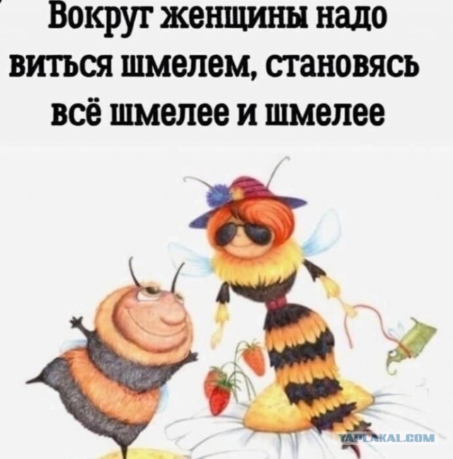 Забавные картинки, шутки из этих ваших интернетов