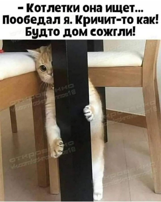 Завалялось тут случайно немного забавных картинок