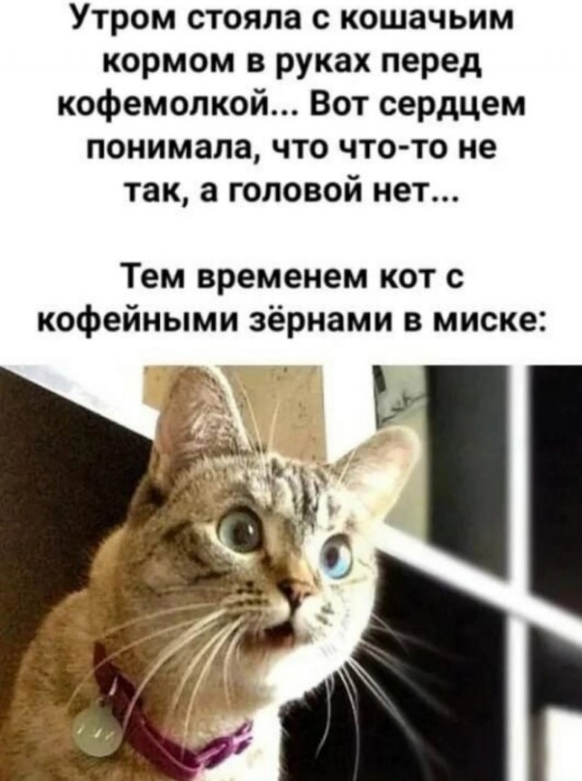 Картинки на 	субботний день