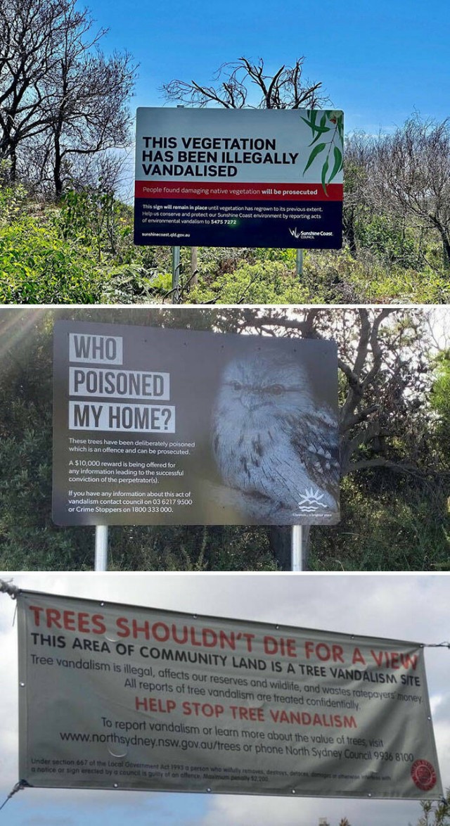 Вам всё равно никто не поверит: 30 фото удивительных случаев от пользователей Сети