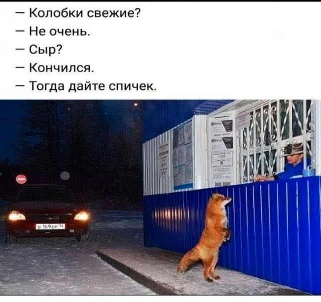 Нуштош 23.04.2025. По эту сторону зеркала (s3e11)