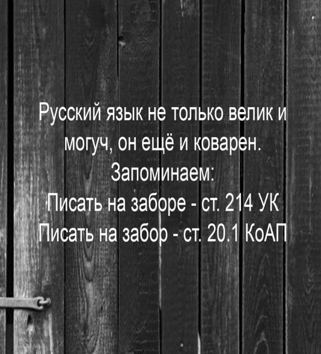 Так себе картинки 14.05.25