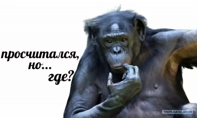 Американская дорожная полиция совсем распоясалась. Уже к прохожим цепляется с утра пораньше.