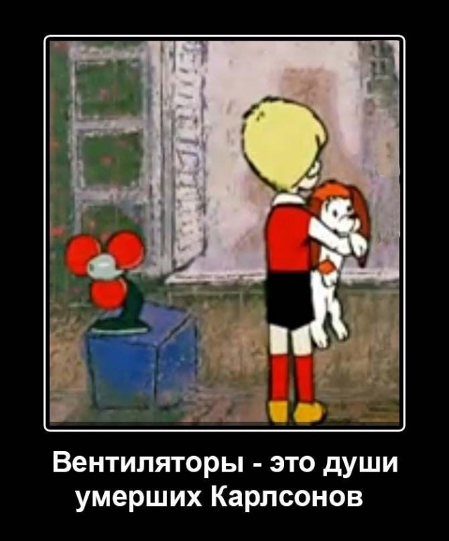 Прикольные и просто красивые картинки 19.09.2025
