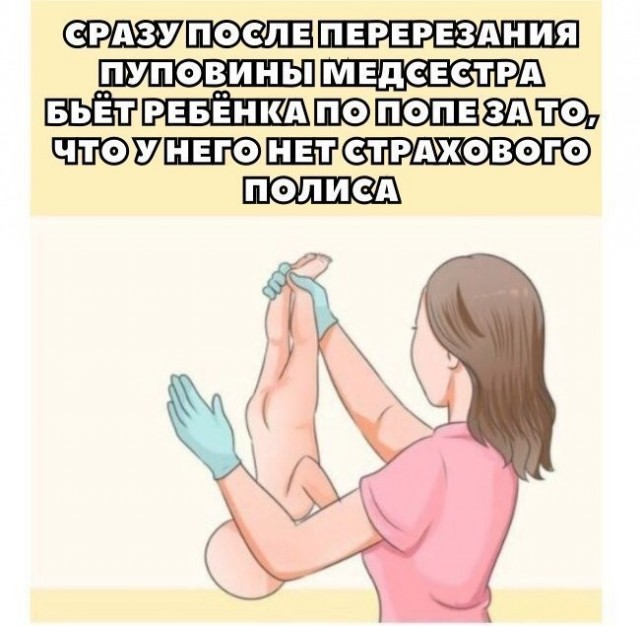 Завёл моторчик