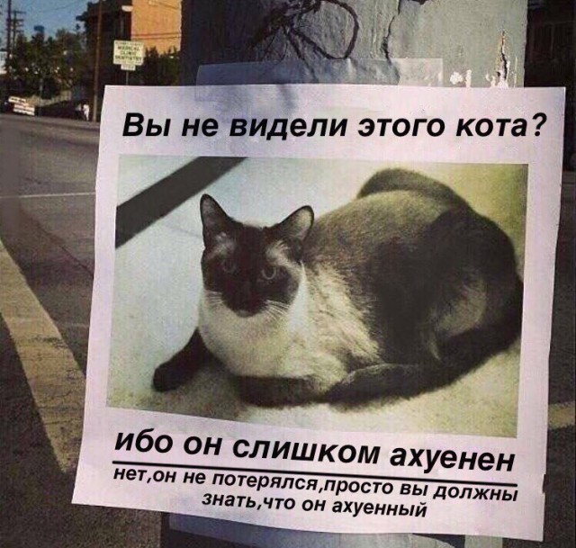 Веселое настроение в картинках (19.11.2025)