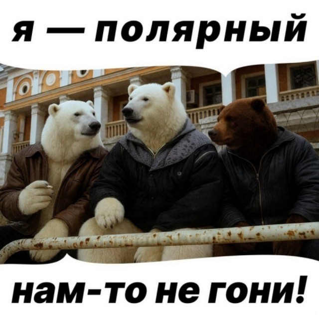 Что между ними общего ?