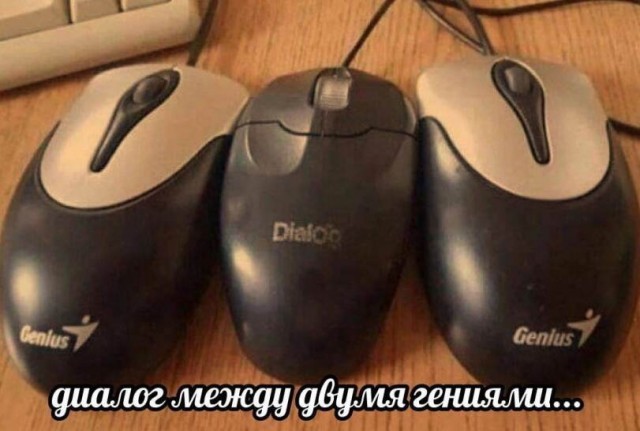 Всякой Хни вам в ленту, дорогие деграданты