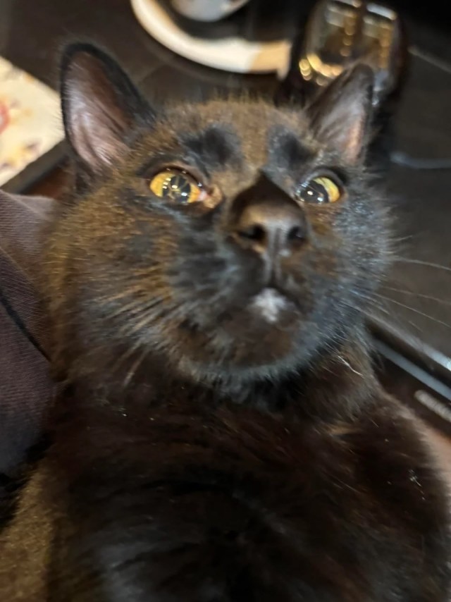 Красивые глаза