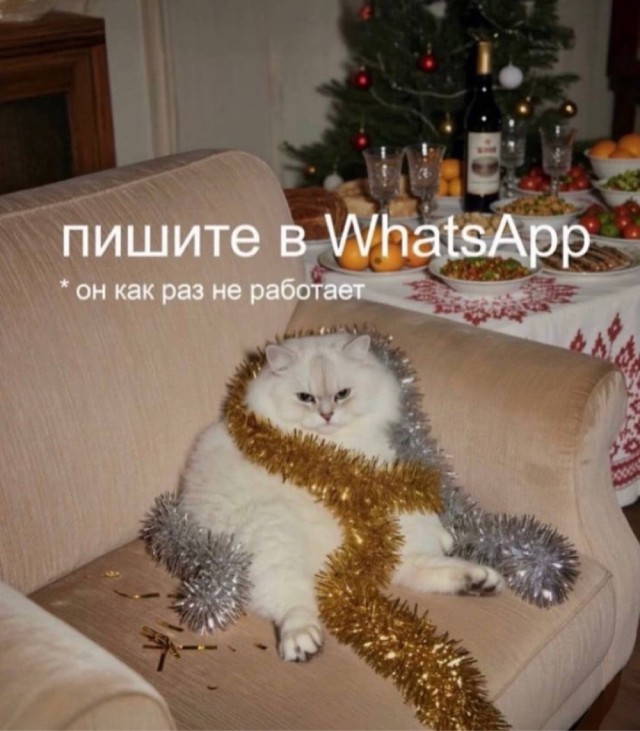 Среды картинки