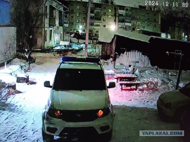 Уборка двора от снега и соседи в нашем доме.