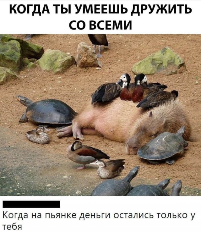 Картинки для деградации 135 (разной степени свежести)