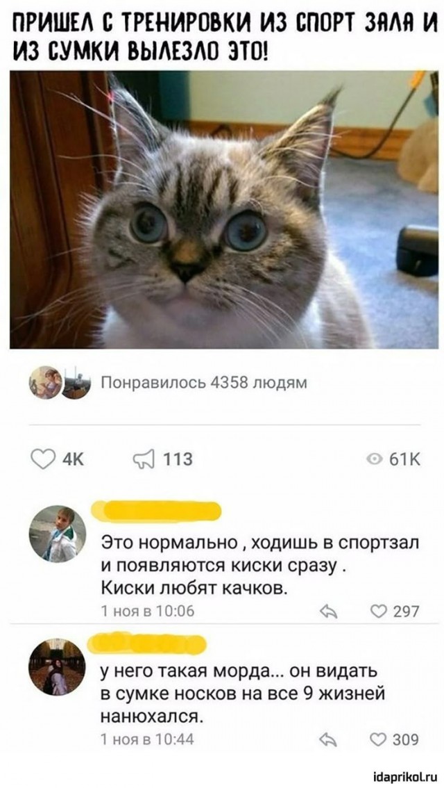 Картиночки, баянчики 23 февраля