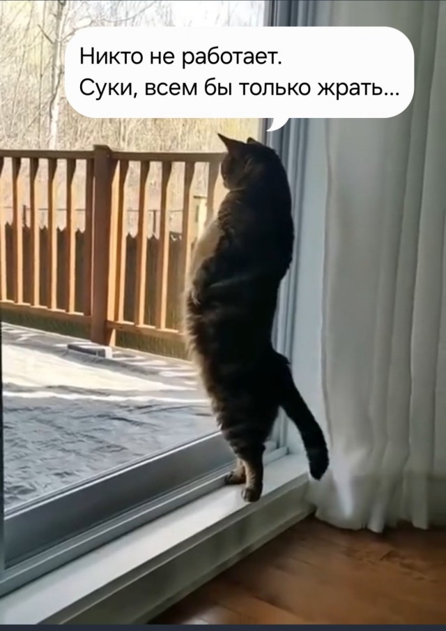 Что-то любопытное