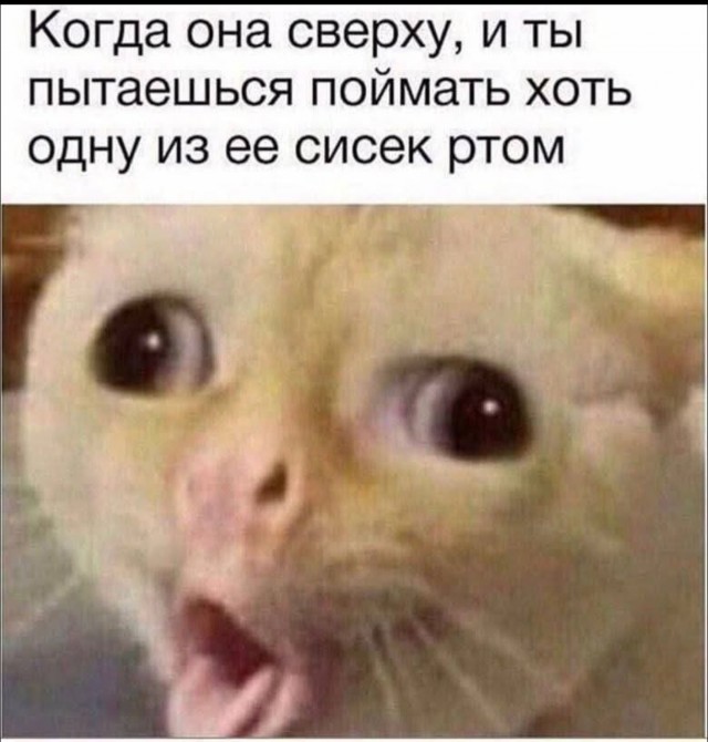 Я пока так не могу, но потенциал есть