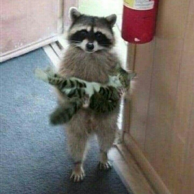 Притащил кореша