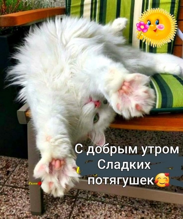 Прикольные и просто красивые картинки 01.09.2026