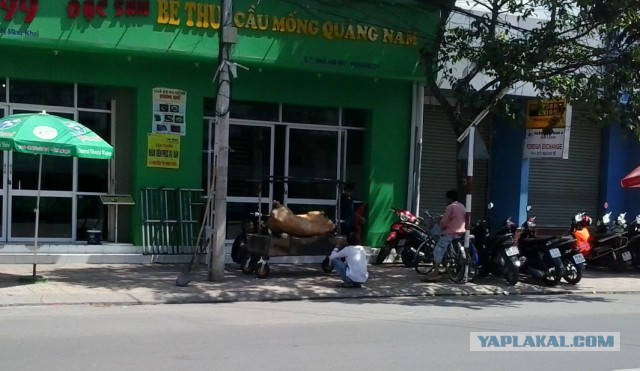 Вьетнам Нья Чанг (Nha Trang)