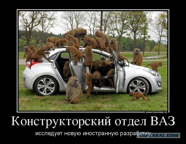Просто фото (без подкатов)