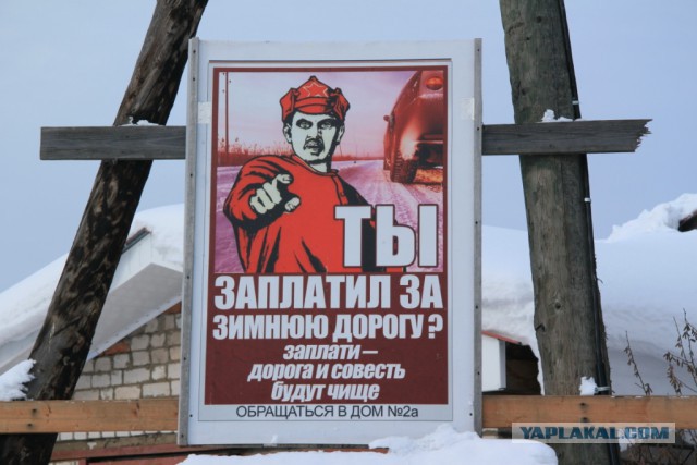 Цвет Зимы