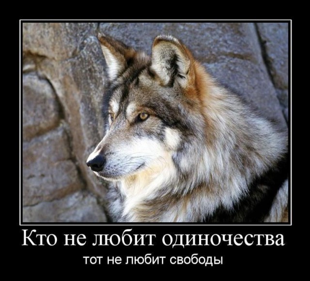 Демотиваторы.