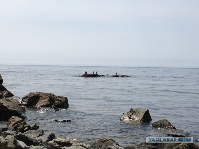 Малоизвестное Приморье.