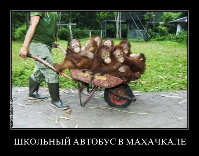 Подборка прикольных фото.