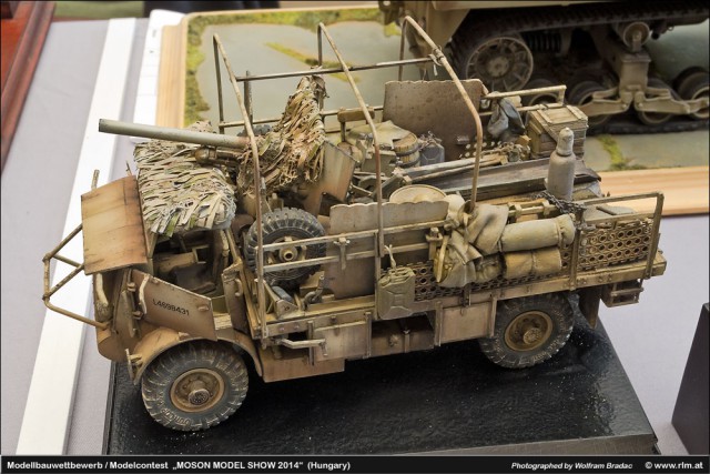 MOSON MODEL SHOW 2014